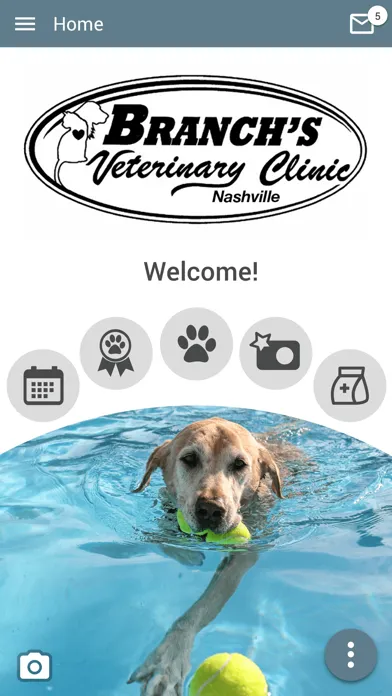 Branchs Vet Clinic Nashville应用截图