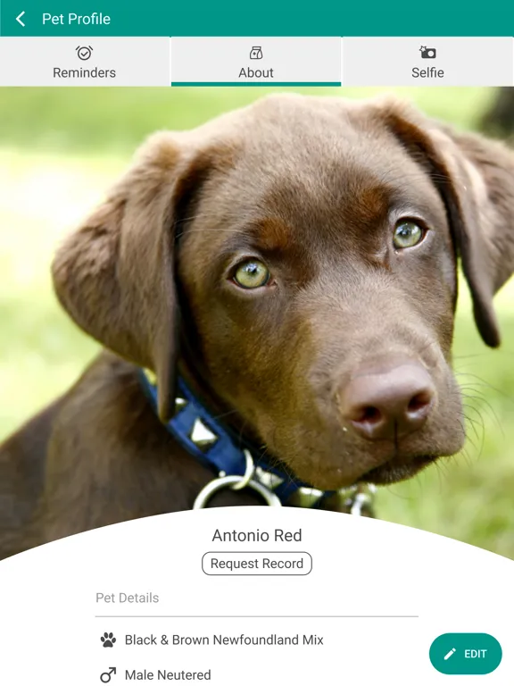 تصاویر STL PetVet iPad 