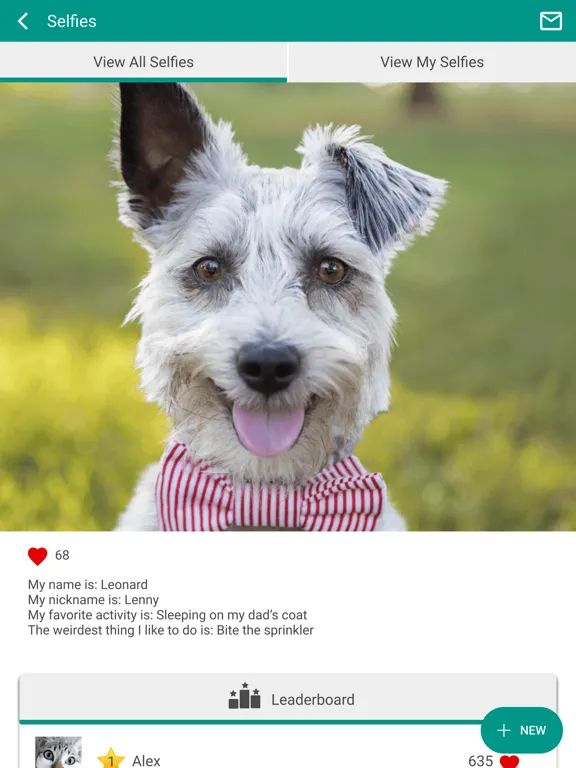 تصاویر STL PetVet iPad 