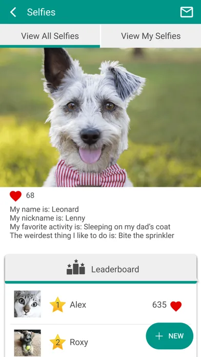 تصاویر STL PetVet