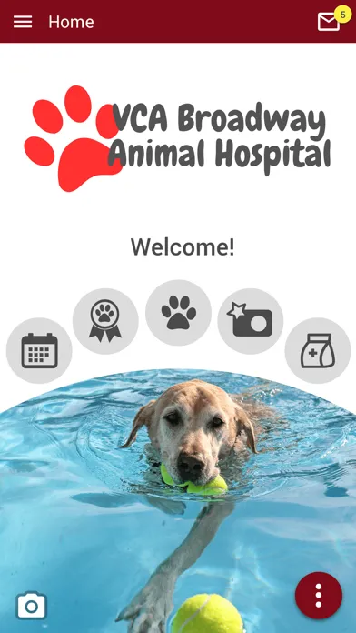 VCA Broadway Animal Hospital Screenshots
