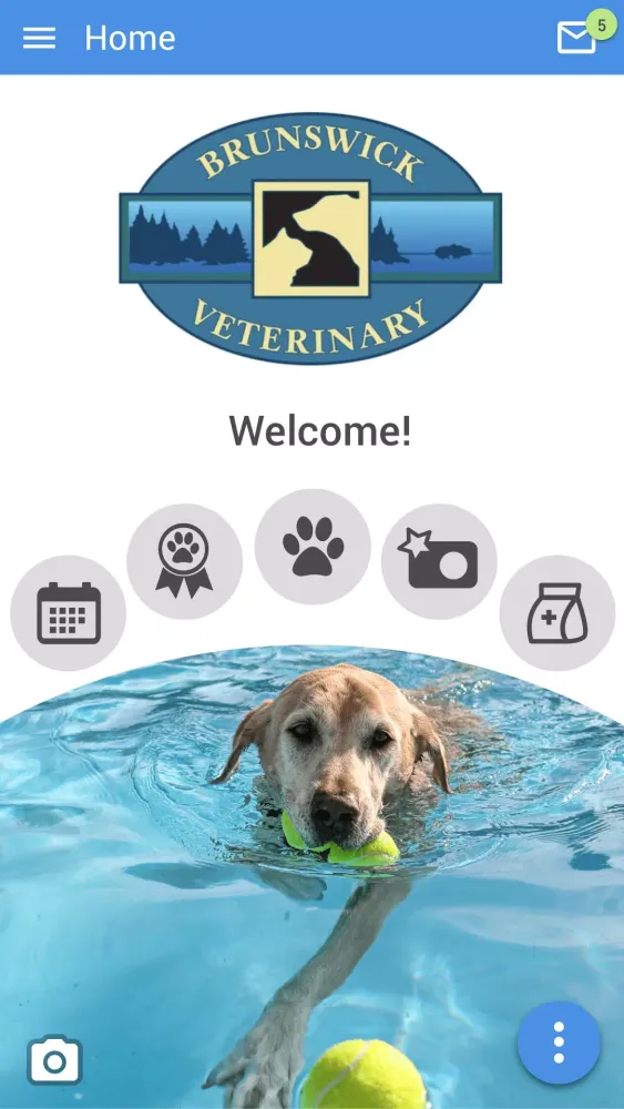 تصاویر Brunswick Veterinary Clinic