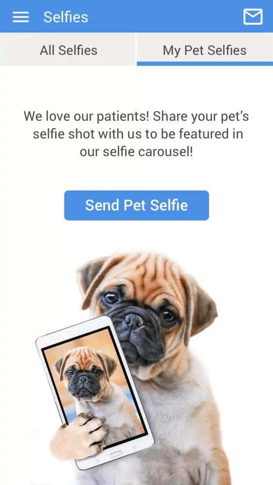 تصاویر Brunswick Veterinary Clinic
