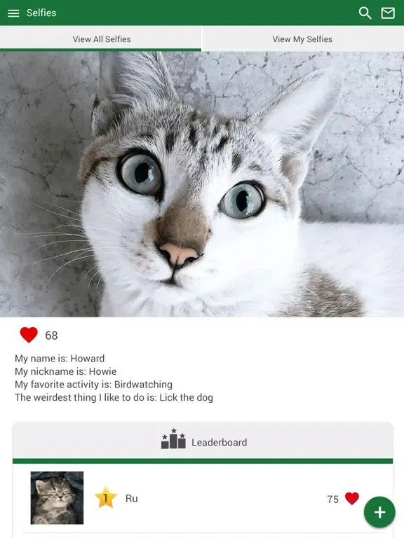 Capturas de pantalla de Cat Vet Clinic iPad 