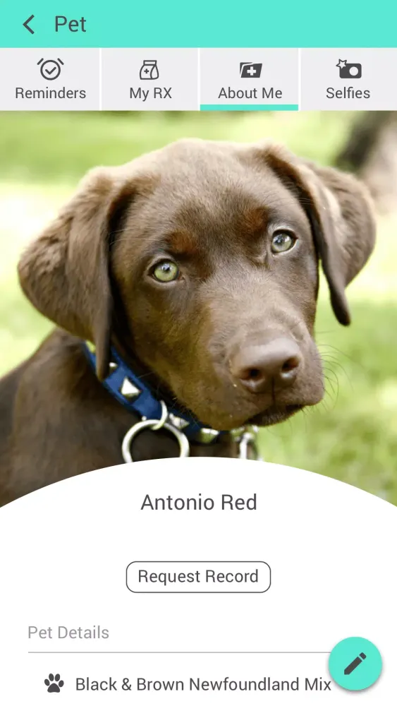 Cedar Bluff Animal Clinic Screenshots