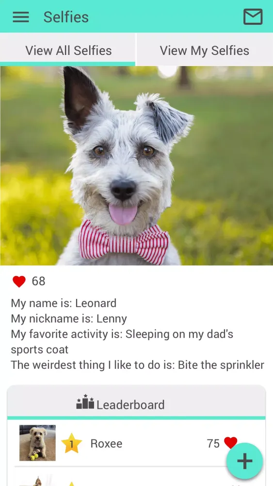 Cedar Bluff Animal Clinic Screenshots