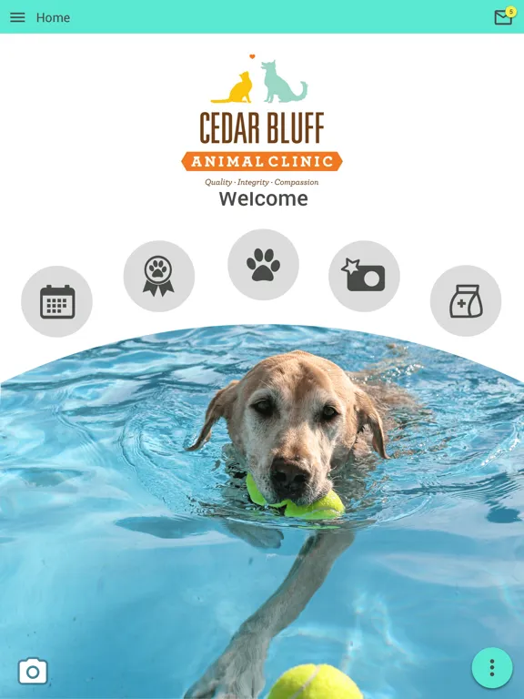 Cedar Bluff Animal Clinic iPad  Ekran Görüntüleri