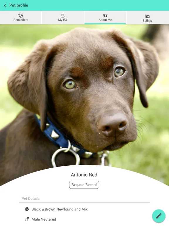 Cedar Bluff Animal Clinic iPad  Ekran Görüntüleri