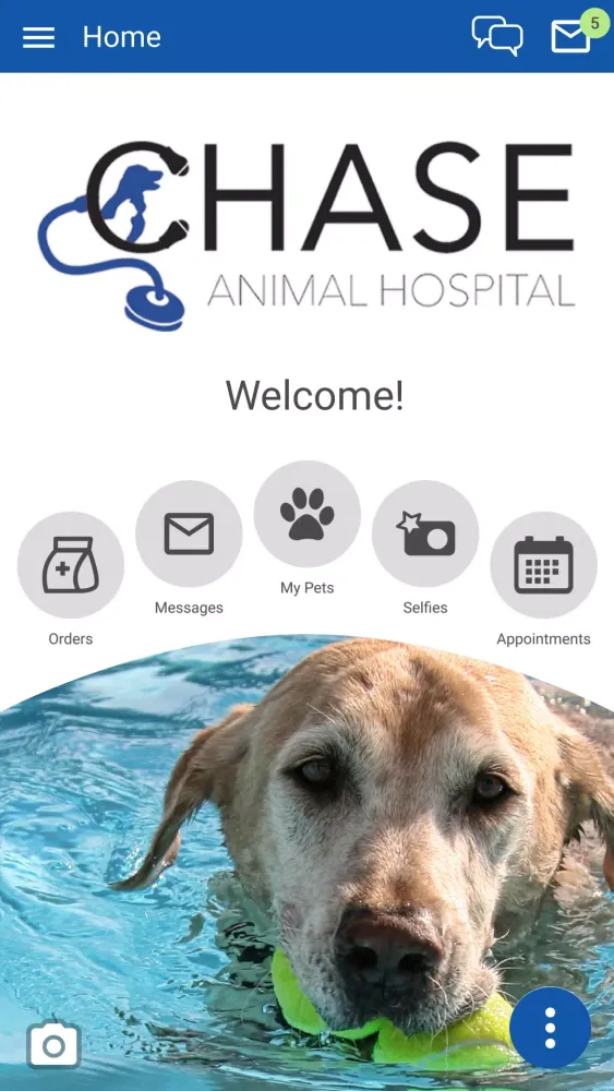 Chase Animal Hospital Ekran Görüntüleri
