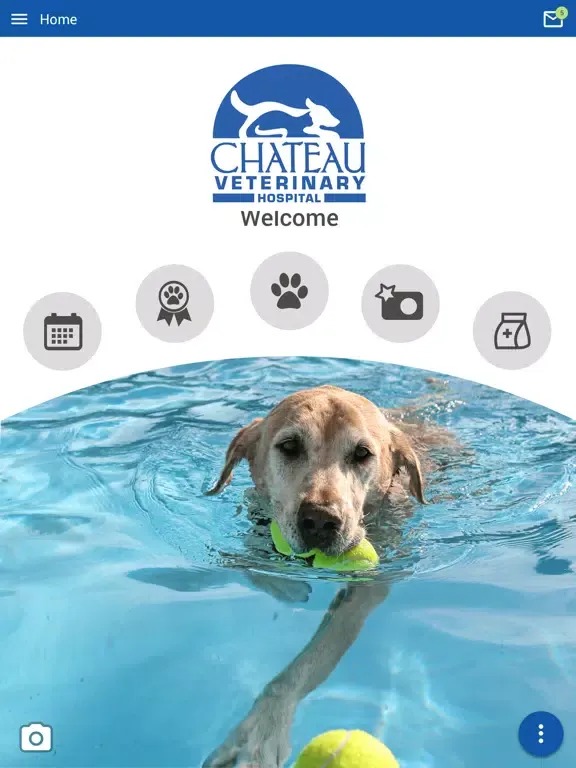 Zrzuty ekranu Chateau Veterinary Hospital iPad 