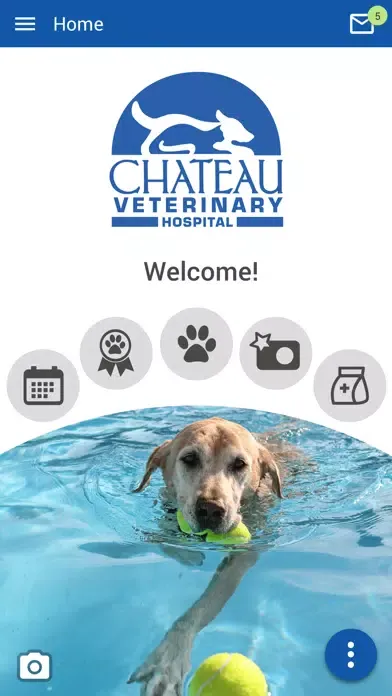Zrzuty ekranu Chateau Veterinary Hospital