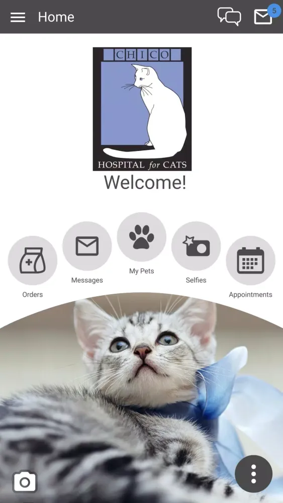 Screenshot di Chico Hospital for Cats
