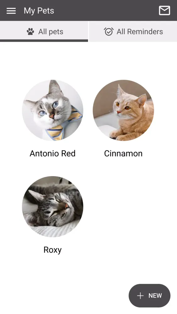 Screenshot di Chico Hospital for Cats