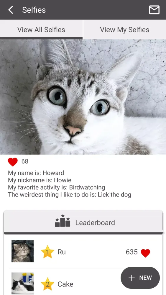 Screenshot di Chico Hospital for Cats
