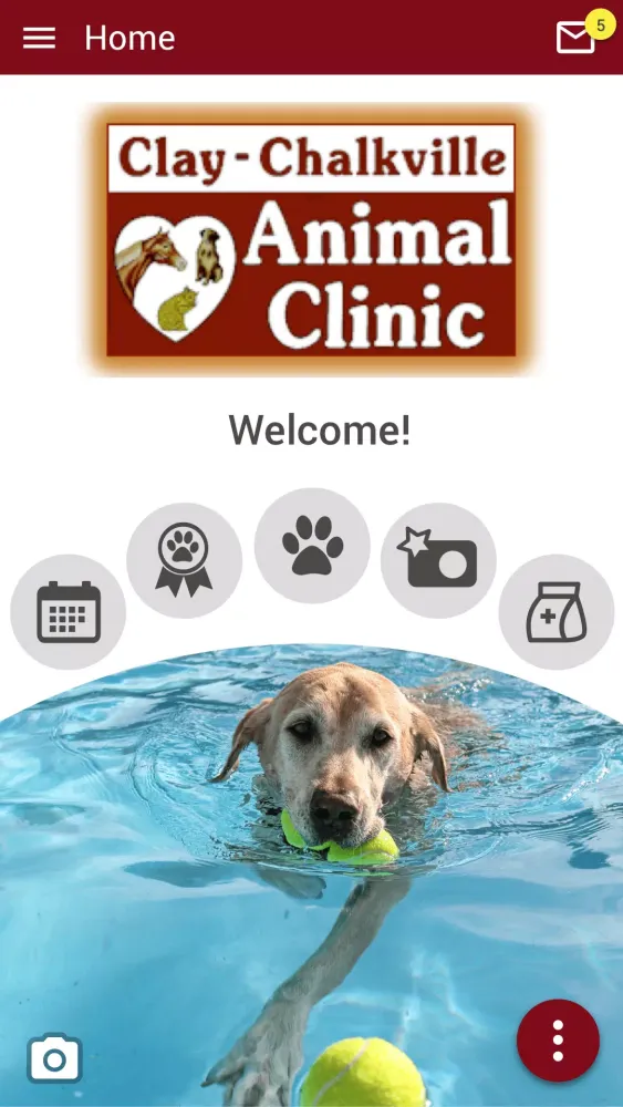 Capturas de pantalla de Clay Chalkville Animal Clinic