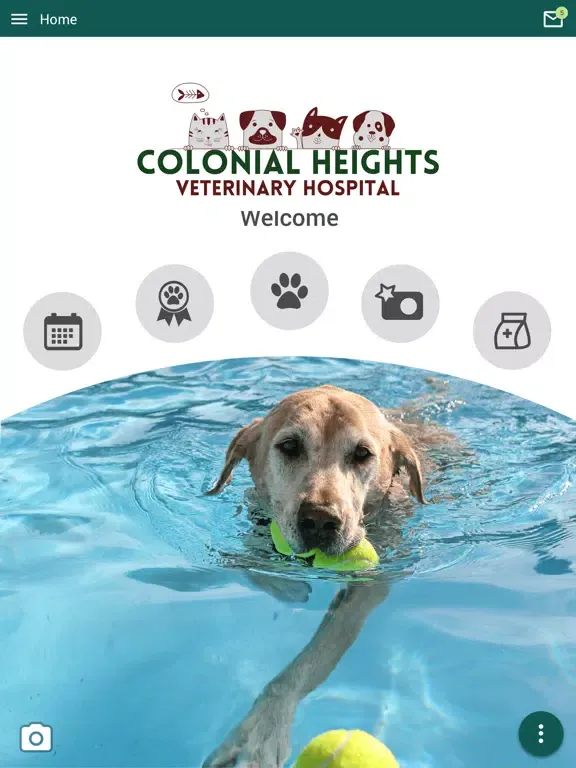 Скриншоты Colonial Heights Vet Hospital iPad 