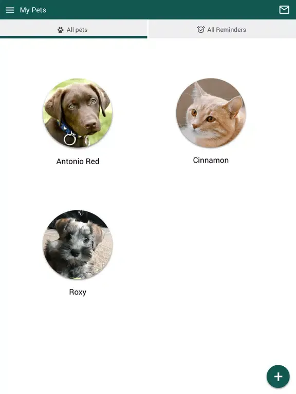 Скриншоты Colonial Heights Vet Hospital iPad 