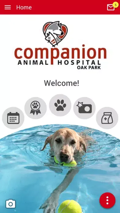 Скриншоты CAH Oak Park