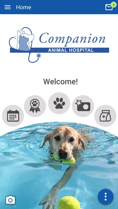 Скриншоты Companion Vet