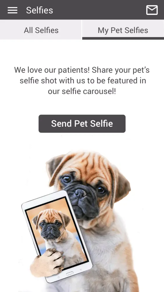 Cornell Animal Hospital應用截圖
