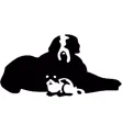 County Animal Hospital MO County Animal Hospital MO
