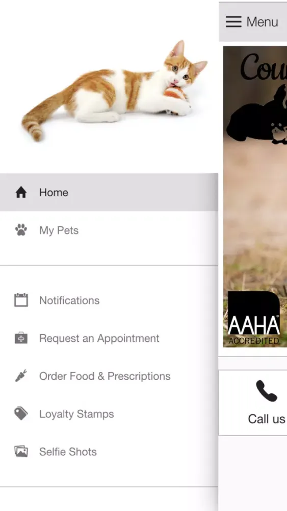 Zrzuty ekranu County Animal Hospital MO