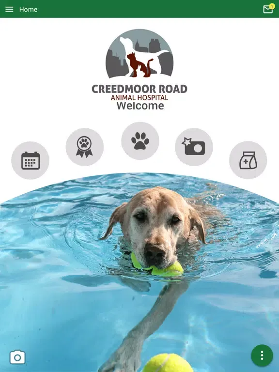 Creedmoor Rd Animal Hospital iPad  स्क्रीनशॉट