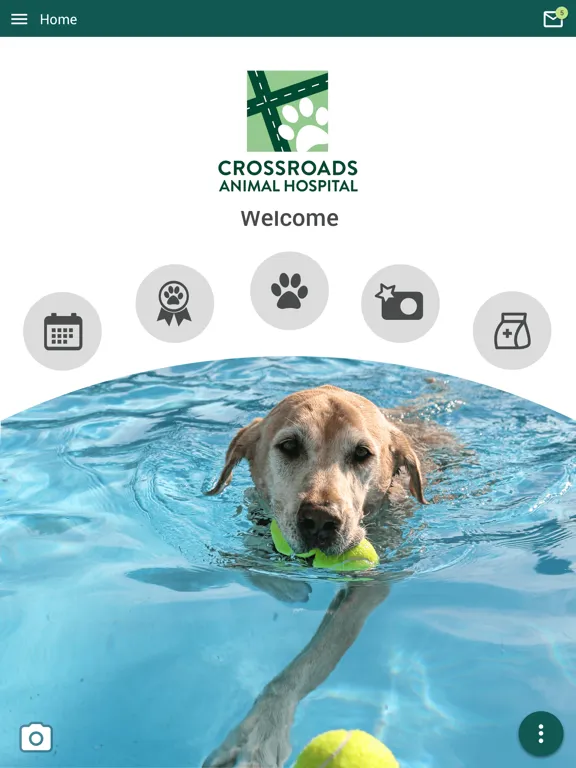 Capturas de pantalla de Crossroads Animal Hosp iPad 