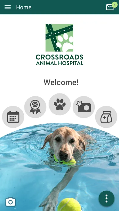 Capturas de pantalla de Crossroads Animal Hosp