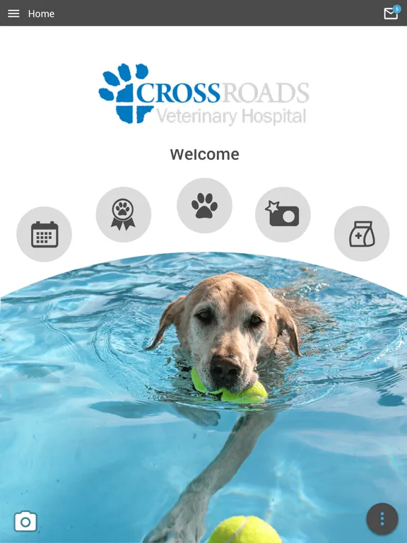 Crossroads Vet Hospital iPad  سکرین شاٹس