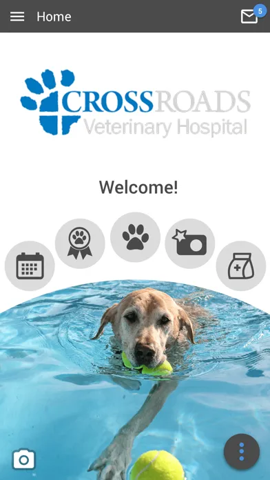 Crossroads Vet Hospital سکرین شاٹس