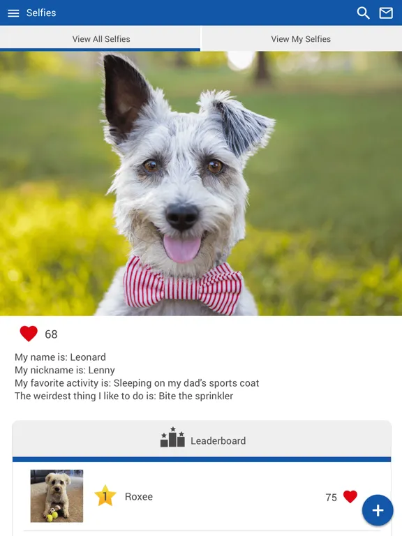 Town & Country Animal Hospital iPad  Screenshots