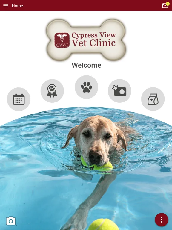 Cypress View Vet Clinic iPad 应用截图