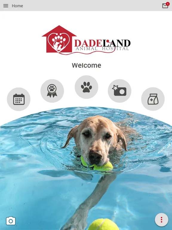 تصاویر Dadeland Animal Hospital iPad 