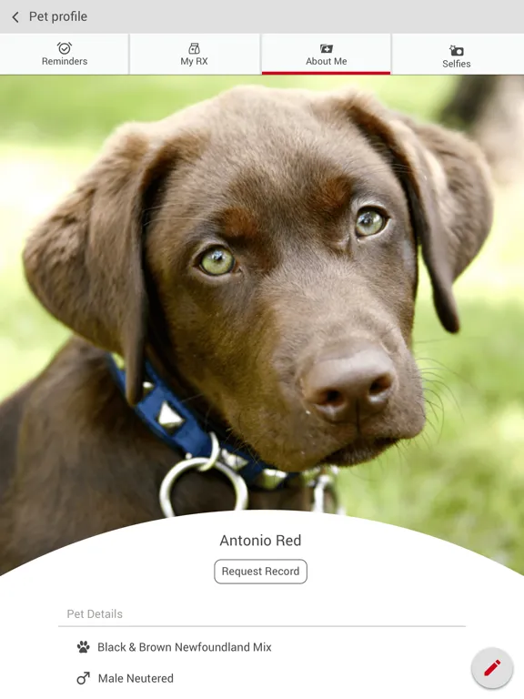 تصاویر Dadeland Animal Hospital iPad 