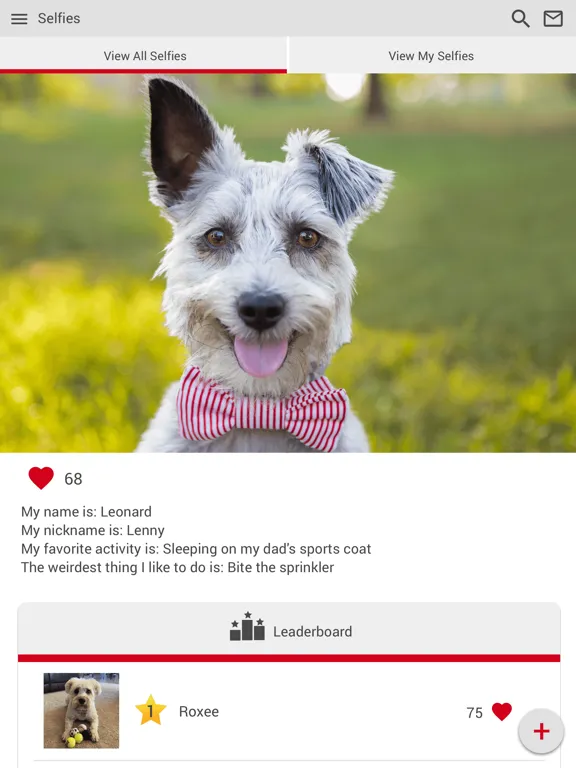 تصاویر Dadeland Animal Hospital iPad 