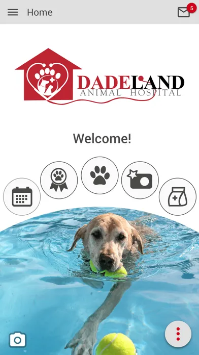 تصاویر Dadeland Animal Hospital