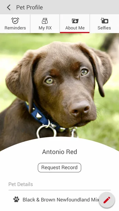 تصاویر Dadeland Animal Hospital