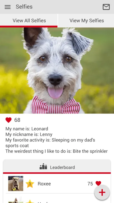 تصاویر Dadeland Animal Hospital