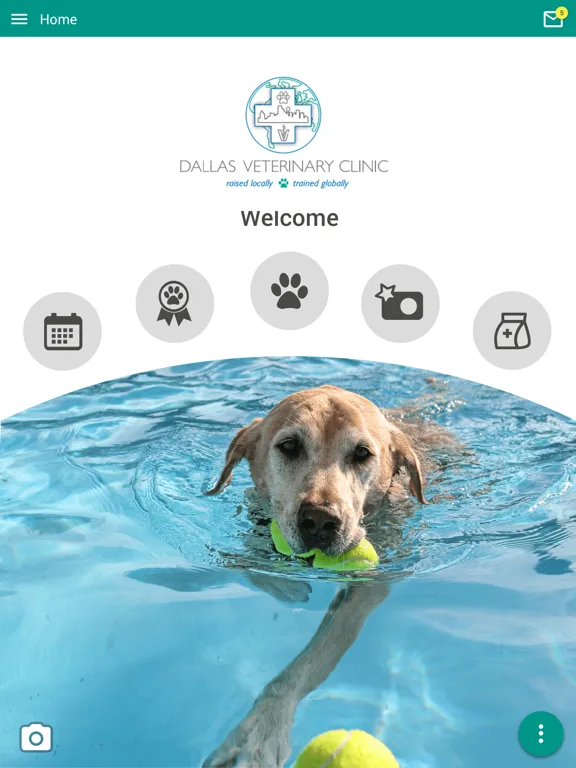 Screenshot di Dallas Veterinary Clinic iPad 