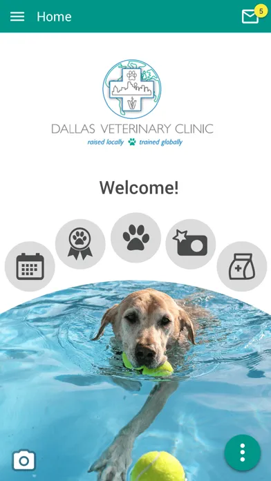 Screenshot di Dallas Veterinary Clinic