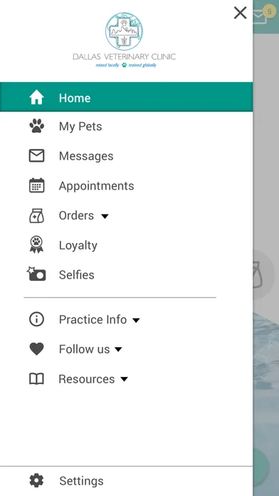 Screenshot di Dallas Veterinary Clinic