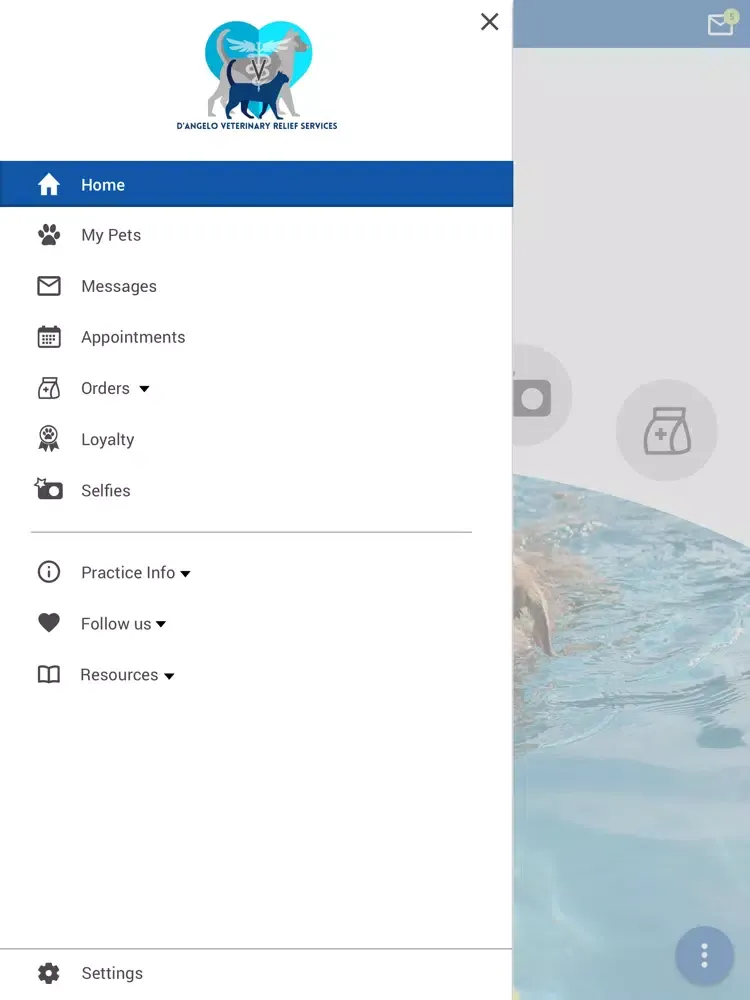 Скриншоты D Angelo Vet RS iPad 