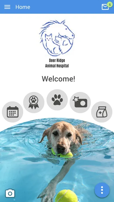Captures d'écran de Deer Ridge Animal Hospital