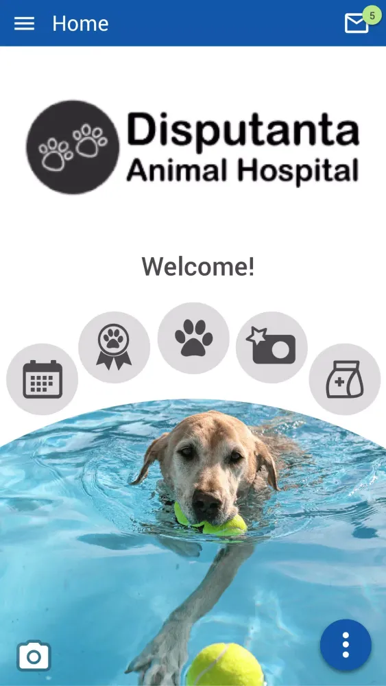 Captures d'écran de Disputanta Animal Hospital