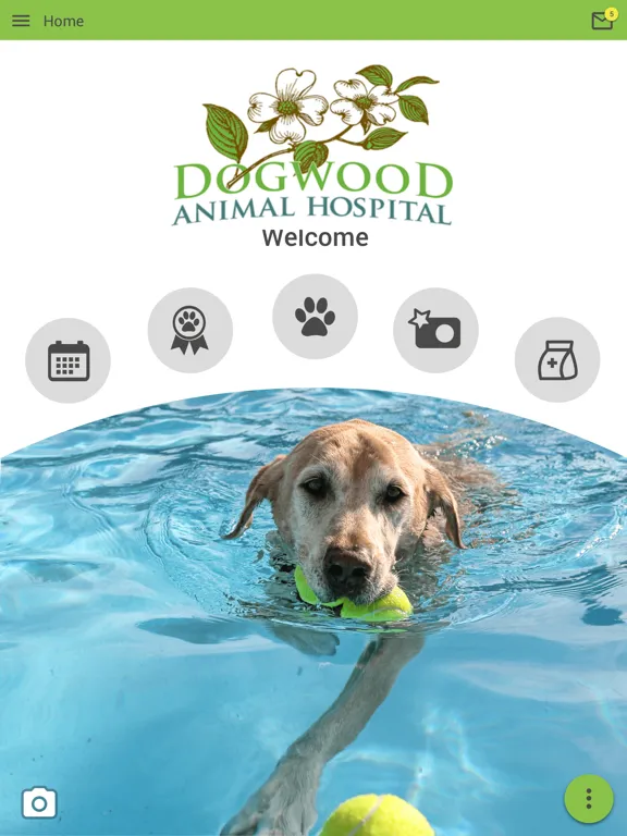 Dogwood Animal Hospital iPad 應用截圖