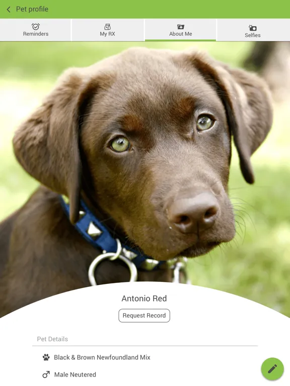 Dogwood Animal Hospital iPad 應用截圖