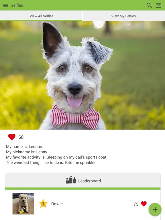 Dogwood Animal Hospital iPad 應用截圖