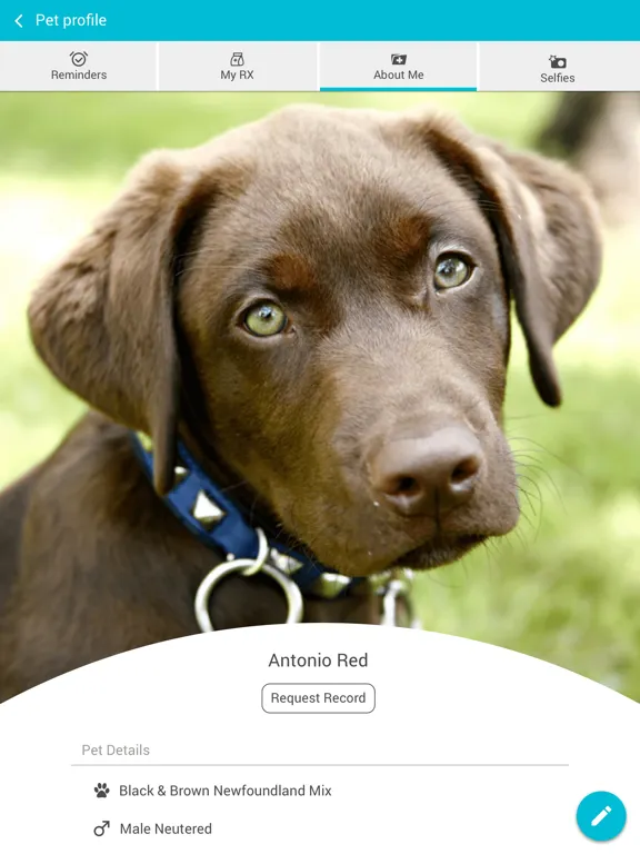 Dogwood Vet iPad  스크린샷
