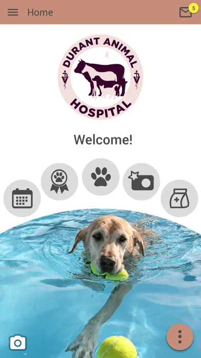 Tangkapan skrin Durant Animal Hospital